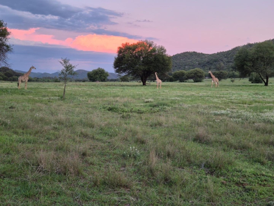 4 Bedroom Property for Sale in Vredefort Rural Free State
